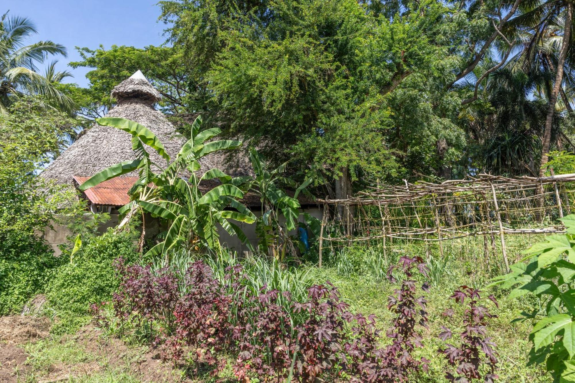 Mbweni Ruins & Gardens Previously Jungle Paradise Zanzibar Buitenkant foto