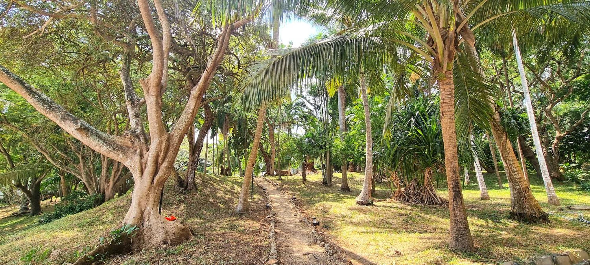 Mbweni Ruins & Gardens Previously Jungle Paradise Zanzibar Buitenkant foto
