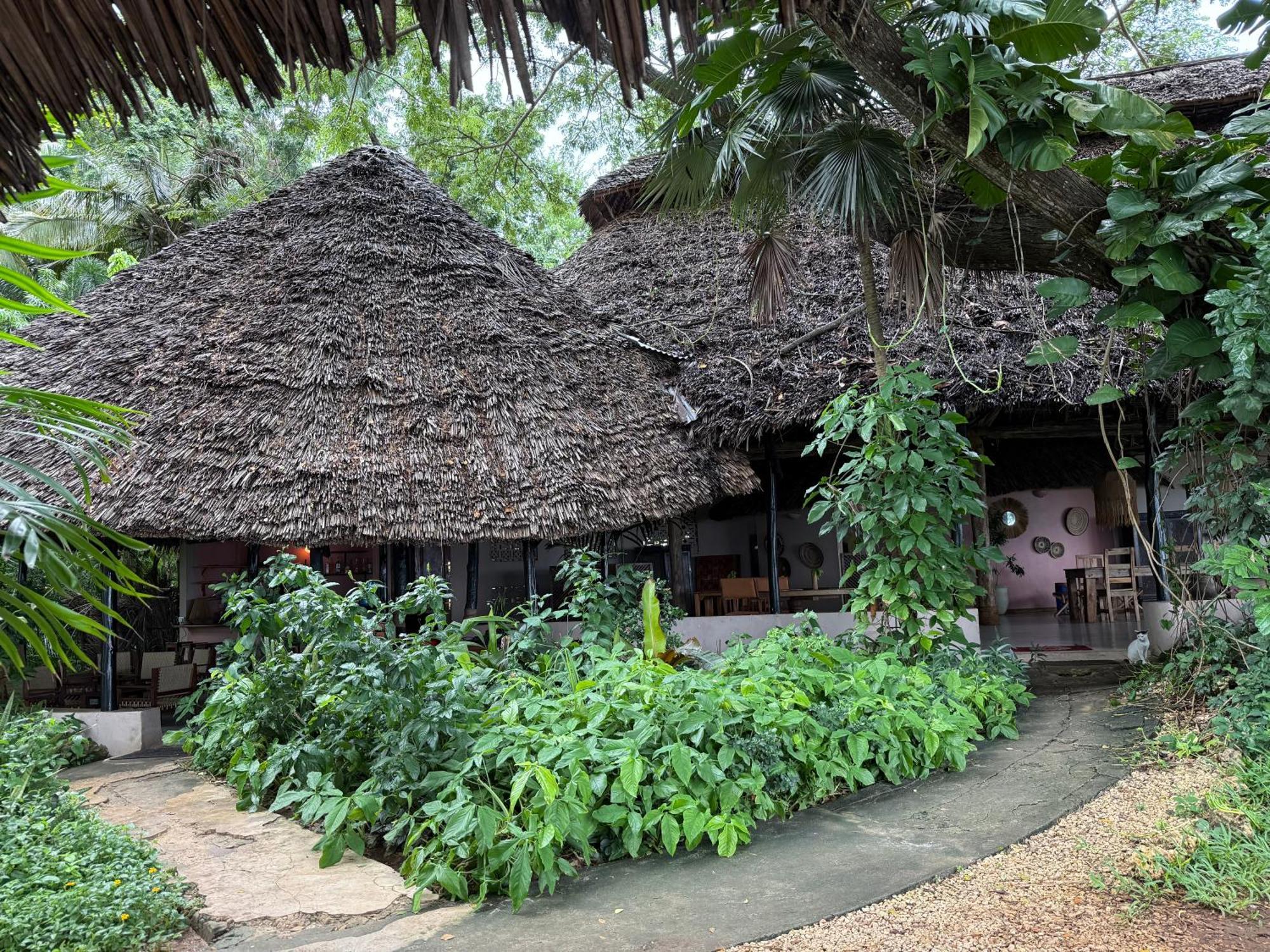 Mbweni Ruins & Gardens Previously Jungle Paradise Zanzibar Buitenkant foto