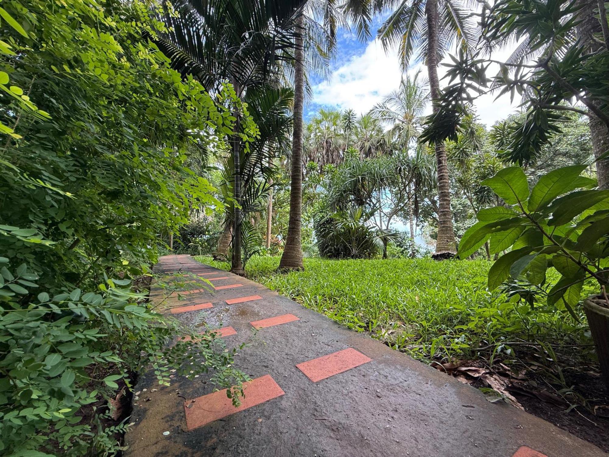Mbweni Ruins & Gardens Previously Jungle Paradise Zanzibar Buitenkant foto