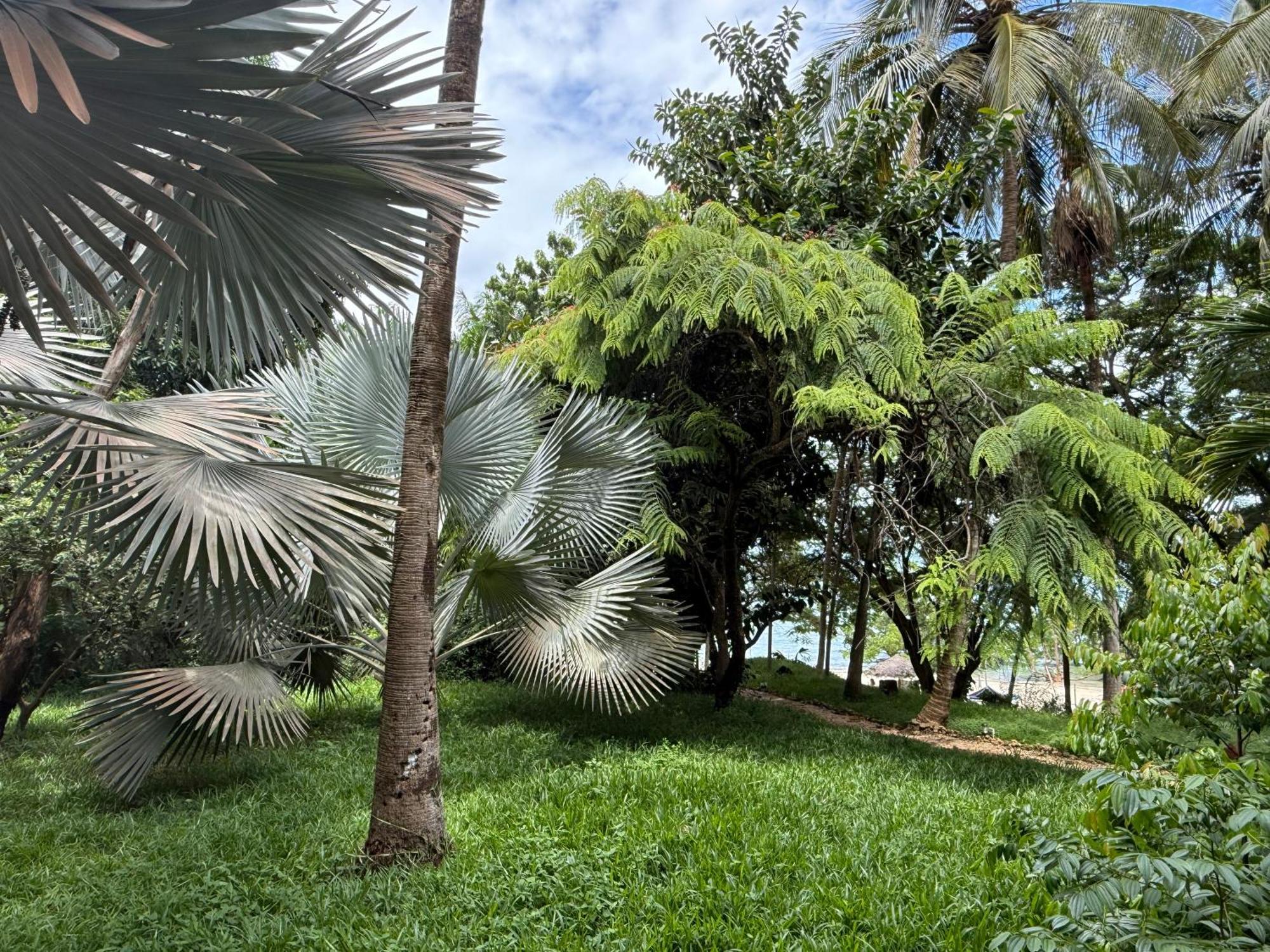 Mbweni Ruins & Gardens Previously Jungle Paradise Zanzibar Buitenkant foto